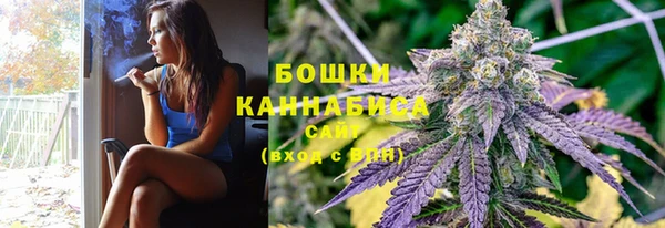 крисы Зерноград