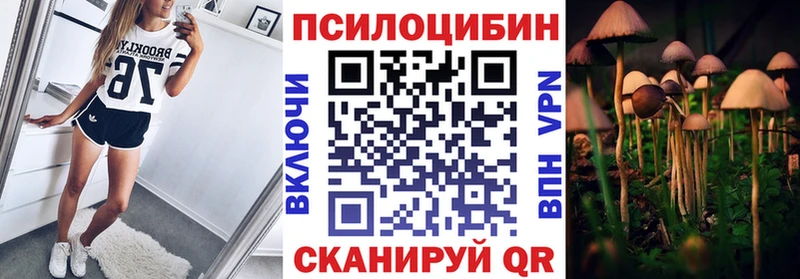 Купить где  Качканар  Галлюциногенные грибы ЛСД 