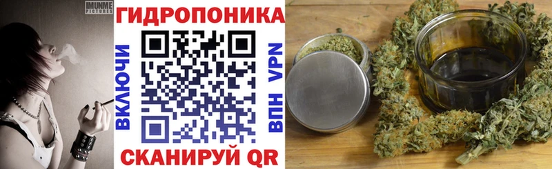 Каннабис планчик  Купить закладки  Качканар 